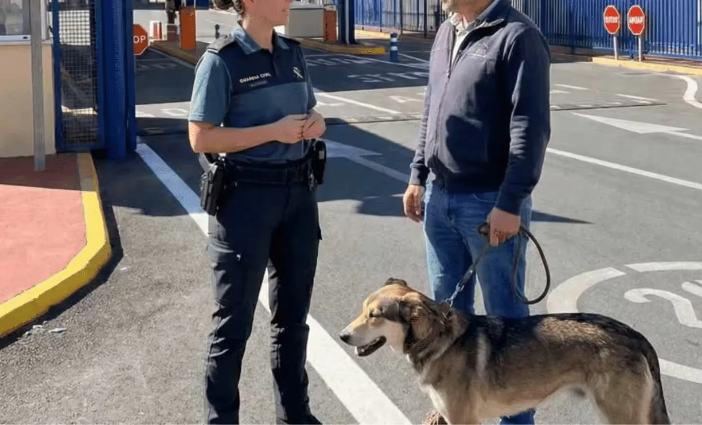 تحذير من الحرس المدني الإسباني بشأن شروط السفر بالحيوانات الأليفة عبر باب سبتة 1 propietarios de mascotas ceuta
