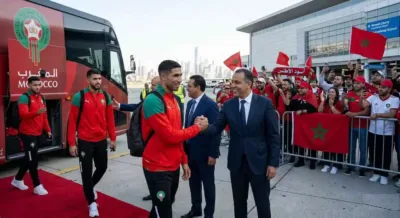 أسود الأطلس