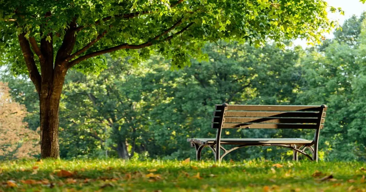 صيف مراكش الحدائق الغراء ملاذ العائلات الباحثة عن الانتعاش والجمال 1 صيف مراكش الحدائق الغراء ملاذ العائلات