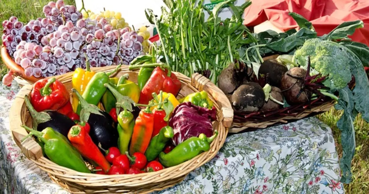 انخفاض أسعار الخضر والفواكه