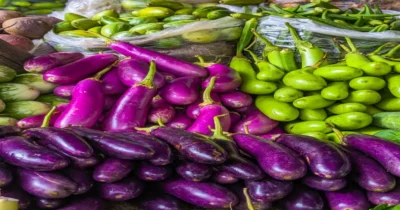 أسعار الخضر والفواكه واللحوم اليوم