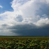 طقس المغرب يوم السبت أجواء دافئة نسبياً ومشمسة بمختلف مناطق المملكة